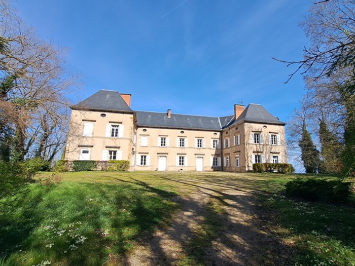 achat vente Château a vendre  , dépendances Billom , à 23 km de Clermont-Fd, large panorama PUY DE DOME AUVERGNE