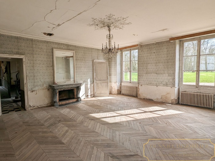 achat vente Château Classique a vendre  , dépendances Étampes  ESSONNE ILE DE FRANCE