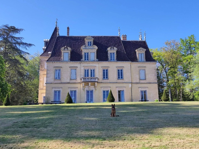 achat vente Château Clasique a vendre  en partie restauré  Bourg-en-Bresse , au cœur d'un environnement naturel préservé, entre Lyon et G AIN RHONE ALPES