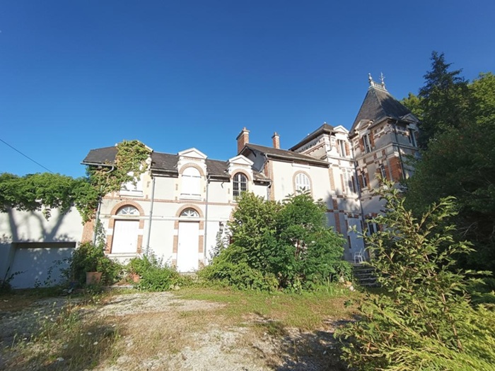 achat vente Château Classique a vendre  à restaurer , dépendances, puits Cosne-Cours-sur-Loire , 1h30 de Paris NIEVRE BOURGOGNE